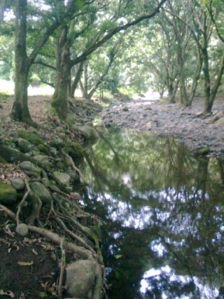 Caminatas a los muñecos